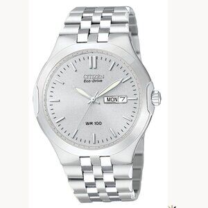 Citizen Eco-Drive WR100 Day and Date SS Ladies Watch